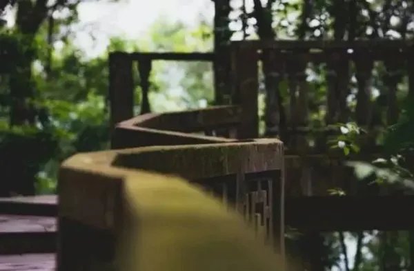 东京103人中暑死亡，具体是什么原因导致死亡的？