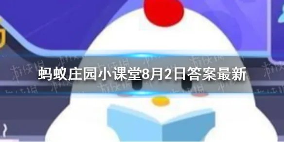奥运会选手住宿的地方叫什么 蚂蚁庄园今日答案奥运