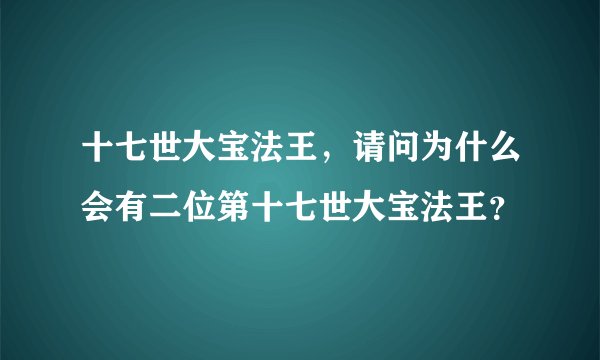 十七世大宝法王，请问为什么会有二位第十七世大宝法王？