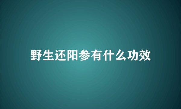 野生还阳参有什么功效
