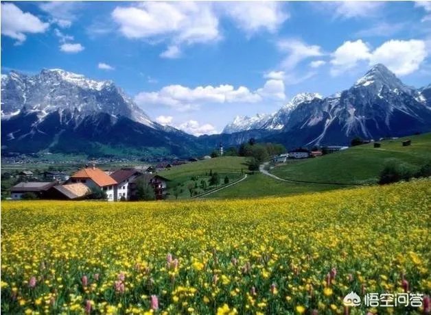 重庆武隆仙女山好玩吗？