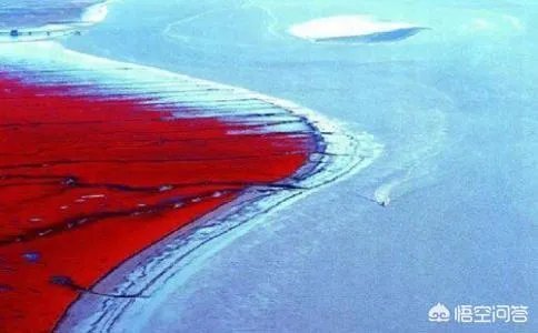 洪涛为什么会从湖南卫视离职,可能带来哪些影响?