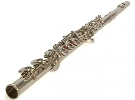 我是歌手第三季第八期郑淳元唱you raise me up 时开头那女的吹的是什么笛子?