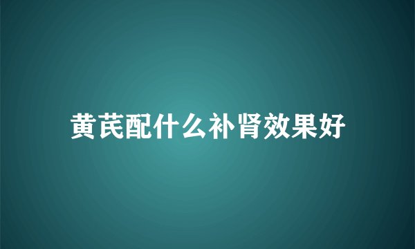 黄芪配什么补肾效果好