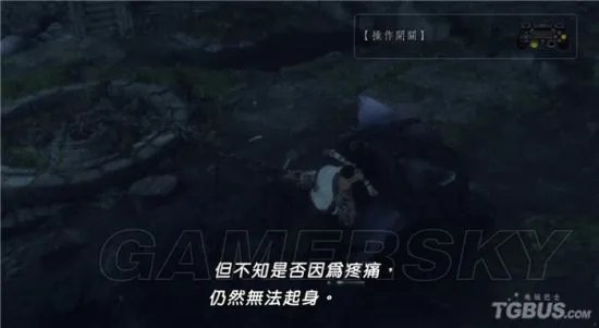 《最后的守护者》图文攻略 全章节图文流程攻略