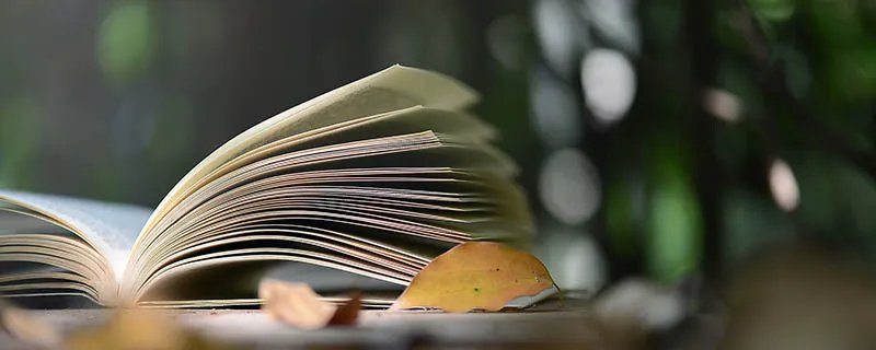 二三四五六七八九打一成语 二三四五六七八九打一成语是什么