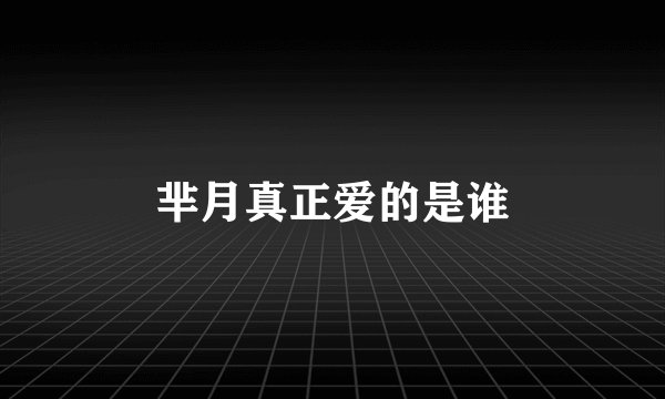 芈月真正爱的是谁