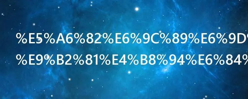 如有来生愿鲁且愚是什么意思