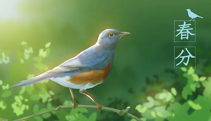 春分吃什么食物