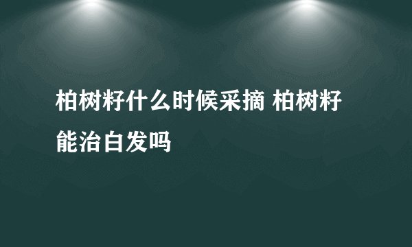 柏树籽什么时候采摘 柏树籽能治白发吗