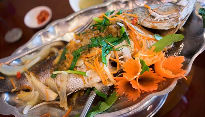 黄金桂鱼属于什么鱼 黄金桂鱼是什么鱼