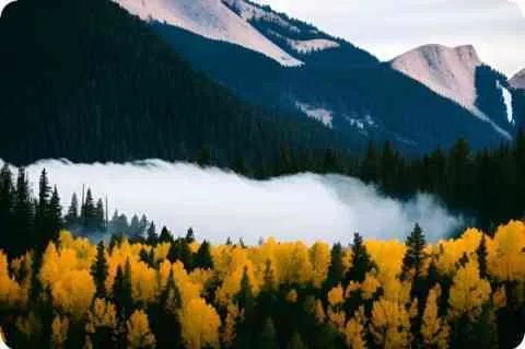 【点墨】的意思是什么？【点墨】是什么意思？