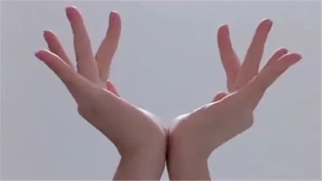 花手是什么意思