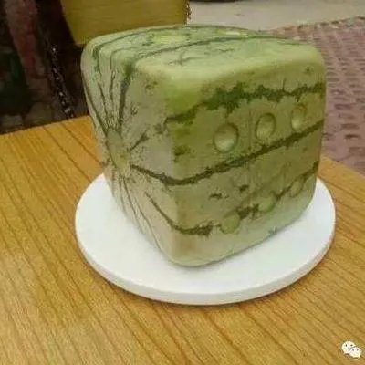 这种方形西瓜是怎么种出来的,好不好吃?