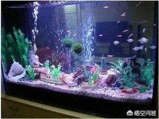 一个完整的鱼缸所需配件有哪些？