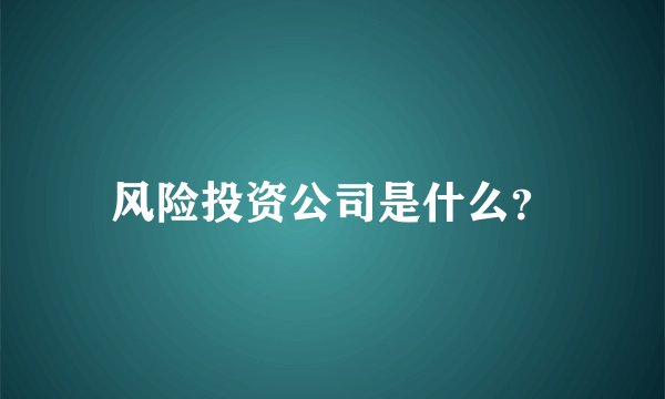 风险投资公司是什么？