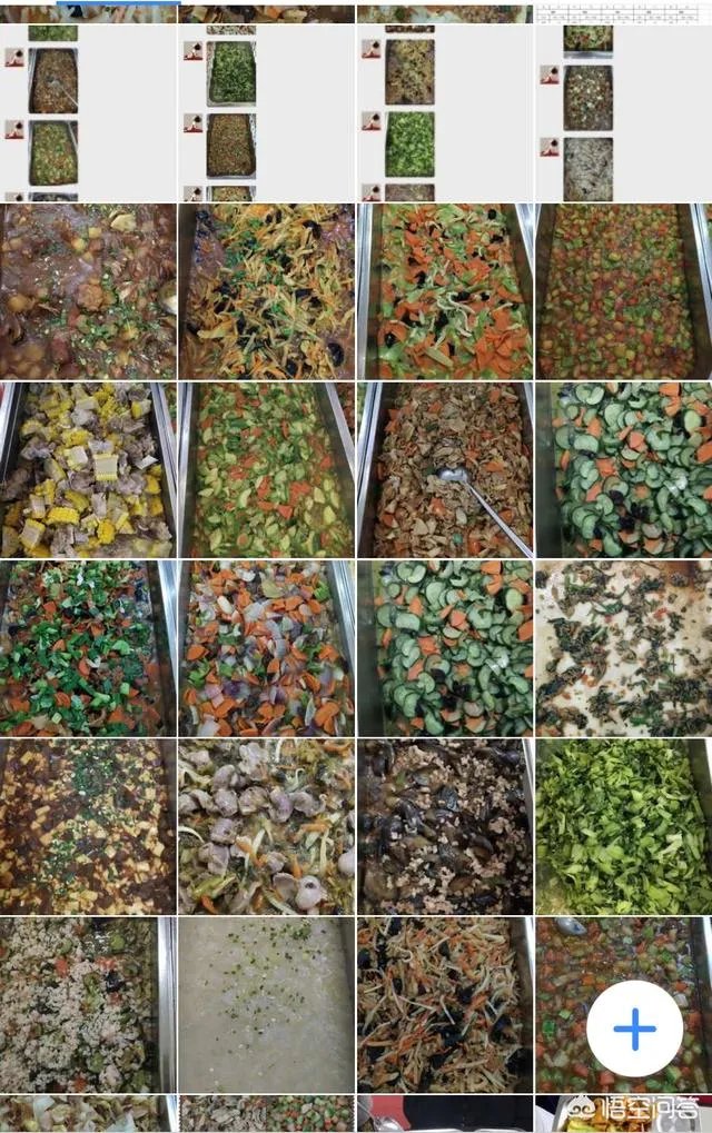 镇江枫叶国际学校的校风怎么样啊，想转过去但是看到有人说校风不好啊而且还经常有男女生乱搞的啊，求帮助？