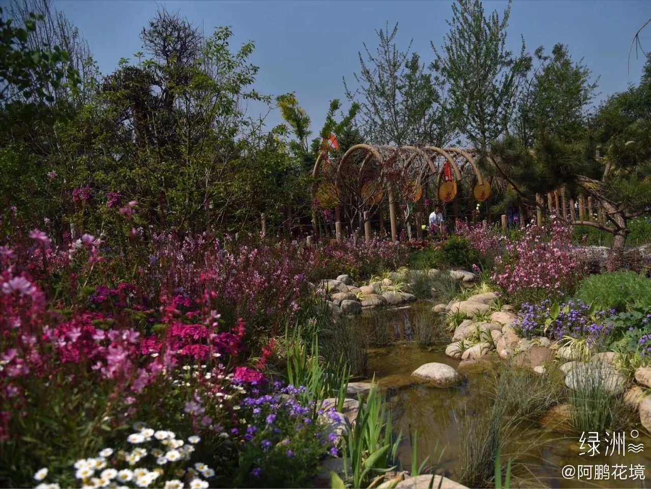 2019，从北京世园会湖南园花境到印象莫奈系列花境花园，从上...