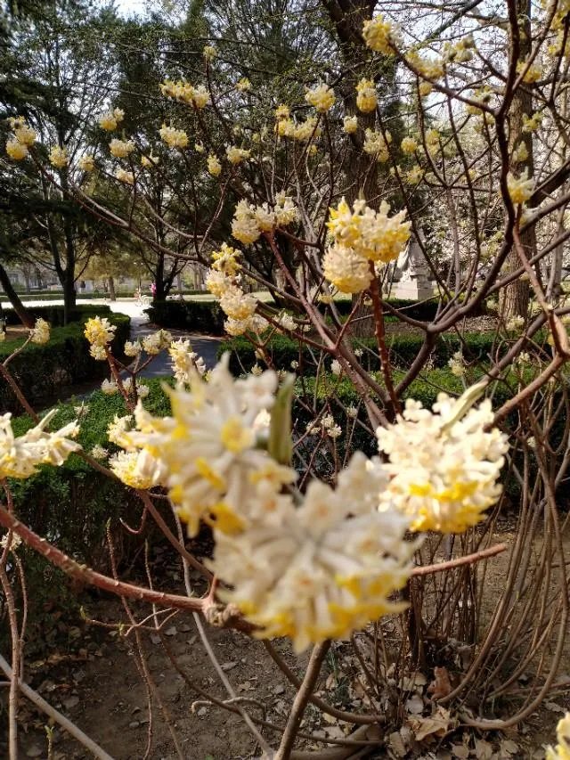 美国特朗普政府如果求助中国，中国应该帮助吗？为什么？