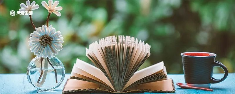 缘木求鱼的意思