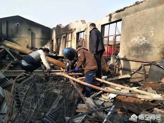 保定一老人卖房救助流浪狗，救助站不慎失火，为抢救狗狗烧伤半边脸，这个事你怎么看？