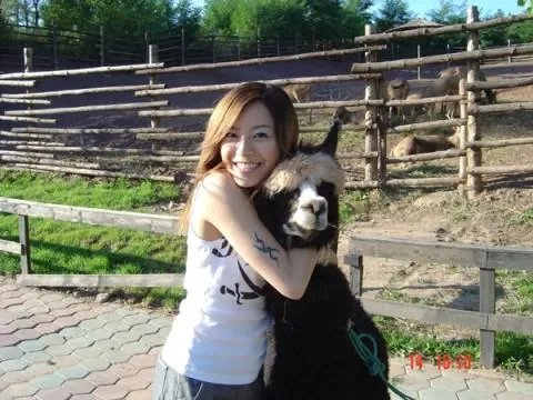 lol yuki解说照片