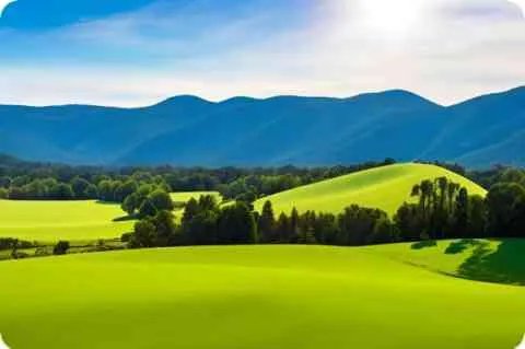 坐伤官是什么意思