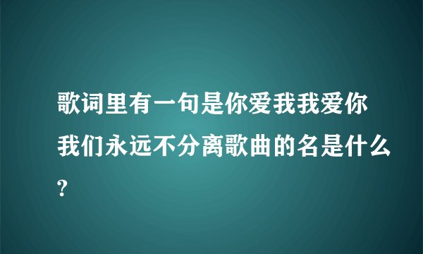 歌词里有一句是你爱我我爱你我们永远不分离歌曲的名是什么?