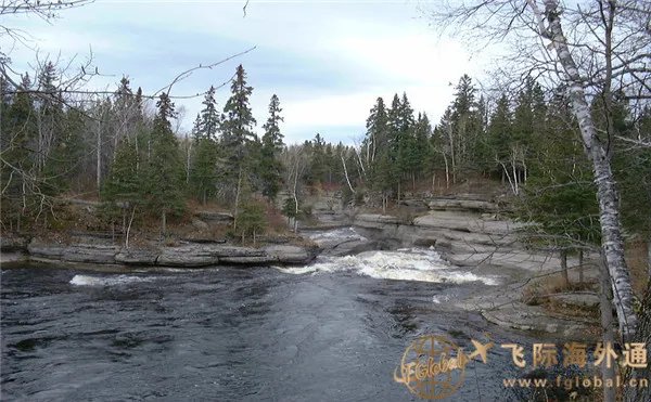 申请加拿大枫叶卡需要什么条件？