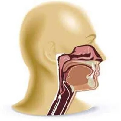 咳嗽破音是怎么回事?