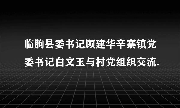 临朐县委书记顾建华辛寨镇党委书记白文玉与村党组织交流.