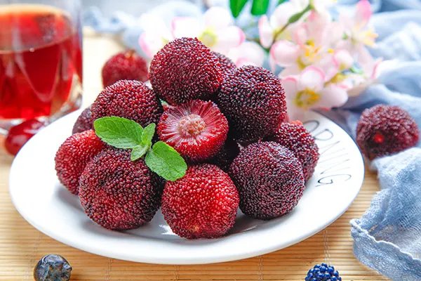 杨梅的功效和作用