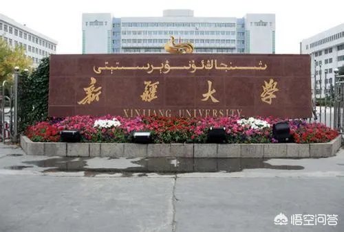 进入世界一流大学建设高校的非985学校有哪些？
