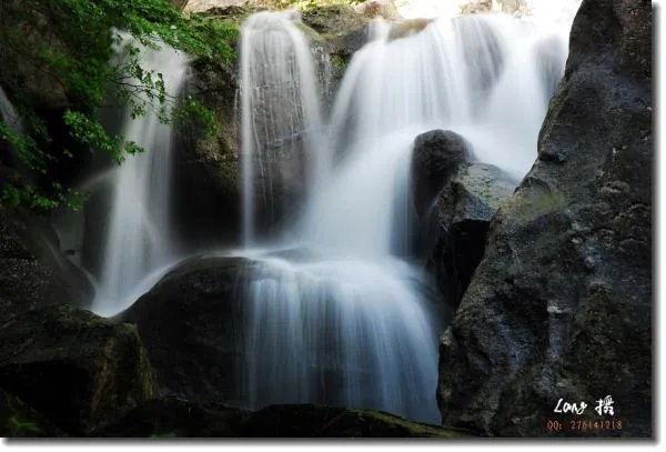 小瀑布山狼的介绍