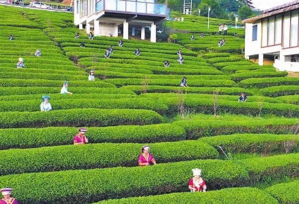 独山县烧400亿打造的宏伟建筑竟烂尾，这是怎么回事？