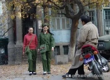 上山下乡的全部电视剧？