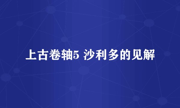 上古卷轴5 沙利多的见解