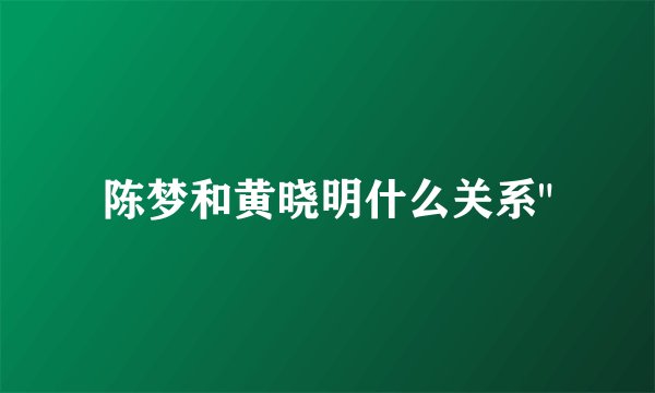 陈梦和黄晓明什么关系