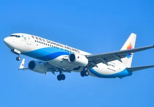 机长与乘务长飞机上互殴，航空公司是如何处罚的？