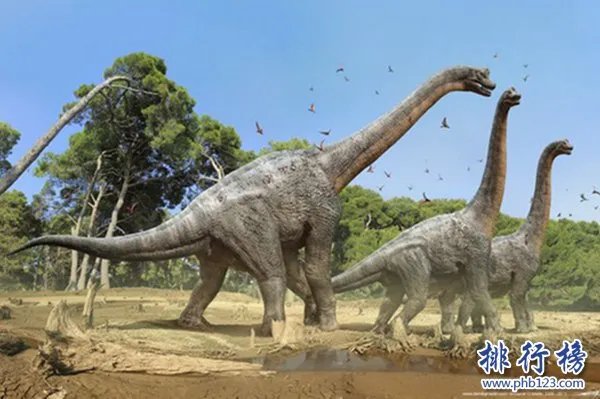 史前十大最怪异生物，如同漫画中的奇怪生物