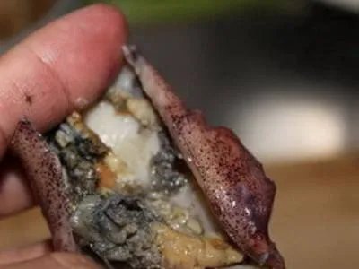 小鱿鱼怎么处理