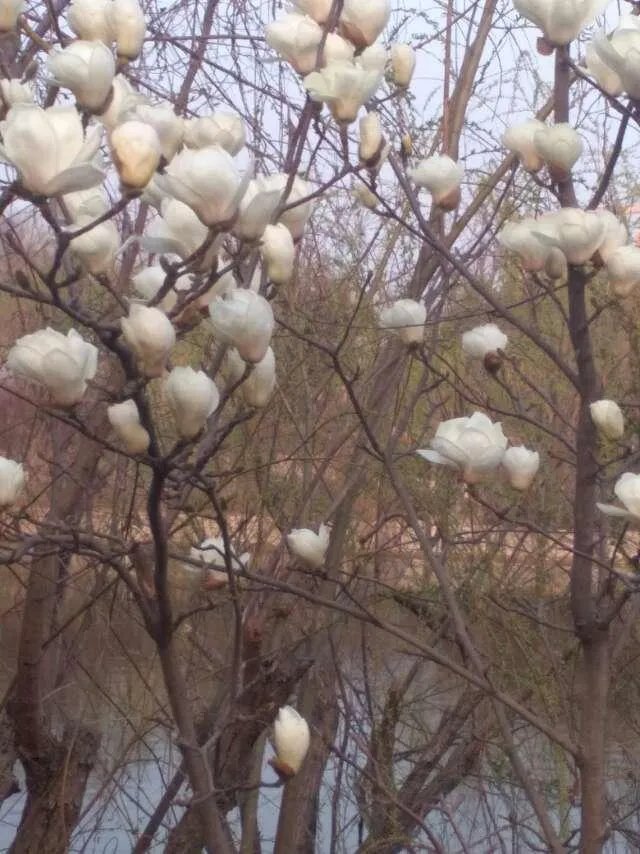 写一句你最中意的诗词歌赋吧？