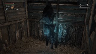 《血源（BloodBorne）》竟是如此下流的游戏 头顶菊花美如画