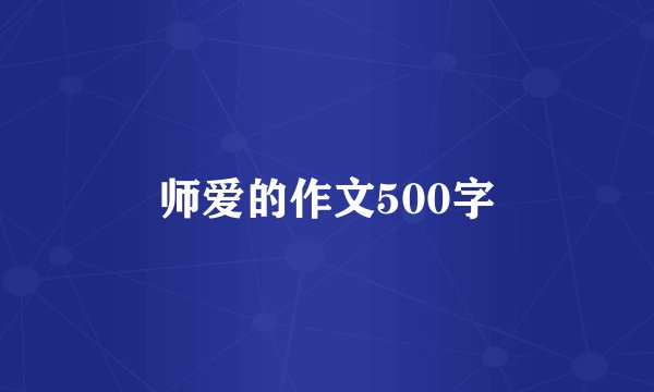 师爱的作文500字