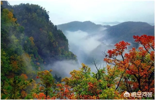 平凉旅游景点哪里有塔
