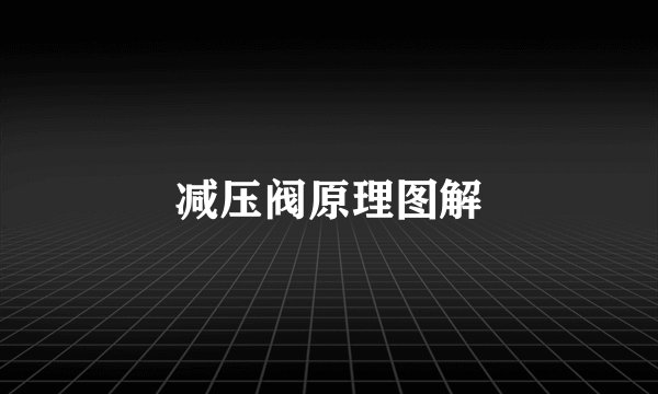 减压阀原理图解