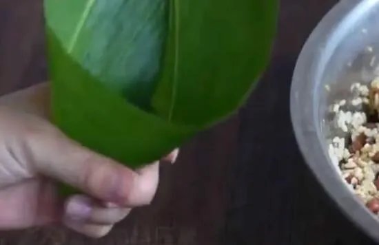 三角粽子的包法 新手一学就会的三角粽包法步骤