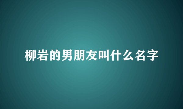 柳岩的男朋友叫什么名字
