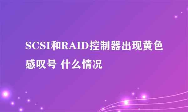 SCSI和RAID控制器出现黄色感叹号 什么情况
