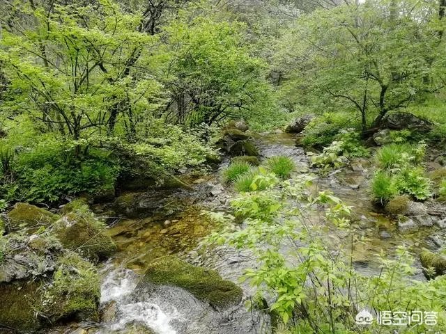 秦岭72峪最值得去的几个